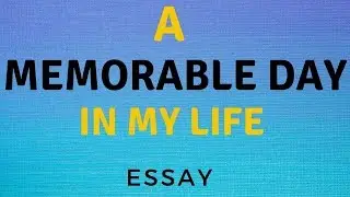 A Memorable Day in My Life Essay