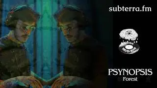 Psynopsis | subterra.fm (Forest DJ Set)