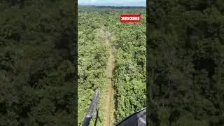 AI Concepts: Giant Bull Seen in the Amazon 🐃 #storm