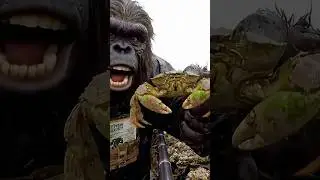 Tide Pool Cryptids? Bigfoot Investigates