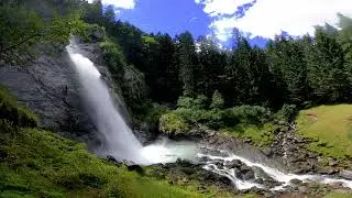 waterfowl trending #nature-dk #youtube
