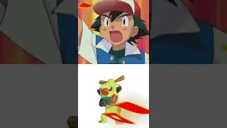 Thwackey vs Charizard Pokemon Battle