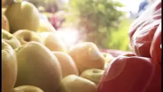 Shoreline Farmers Market Promo Video