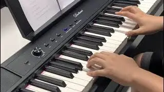 Duoliemi Digital Piano 88 Key Weighted, Portable Electric Piano With Furniture Stand