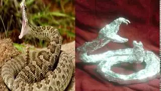 Rattlesnake - Aluminum Foil Sculpture