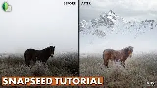 Creating Winter Look with Double Exposure and Curves in Snapseed | Android | iPhone