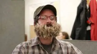 1000 toothpicks in Sean's beard