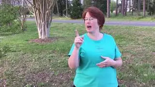 Nature Walk Science part 2