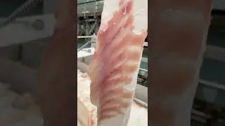 Chef Dad Halibut Fishing: Skinning the Halibut Like a Pro!