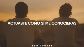 Saint Saviour – Tightrope || Sub Español  ~ Asesinato en el fin del mundo Darby & Bill.