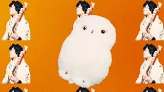 POLTA『2021』【MV】
