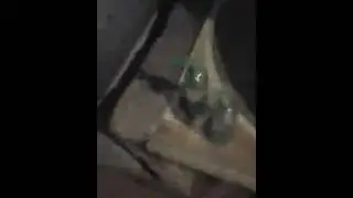 Limpeza no bebedoro