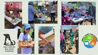 SPAY IT FORWARD DAY Video
