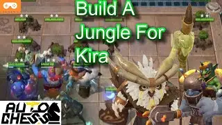 【Auto Chess】Unlimited Tree Man = Unlimited Muscle ! | Kira + Druid Is Getting Popular Now !