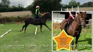 TWINES BIGGEST JUMP!?!?! | MARTHA AND TWINE JUMP EXERCISES