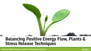 Balancing Positive Energy Flow, Plants & Stress Release Techniques