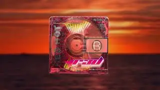 Shake it to the max (Fly) (R3D Remix)