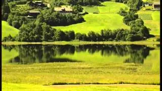 The Sound Effects - Sunrise