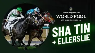 World Pool Preview - Sha Tin & Ellerslie