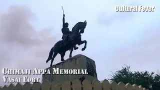 Cultural Fever Timelaps