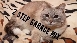 Melodic Soulful 2 Step Mix by Opi