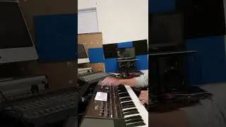 19 SAMPLES GRATIS PARA KORG PA 600 Y KORG PA 700 Y KORG PA 1000