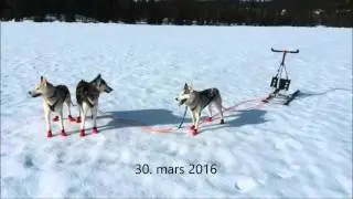 P&aring;sken 2016