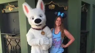 Day off at Hollywood Studios | DCP 2017