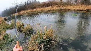 Fly Fishing Crystal Clear Water for Finicky Limestone Wild Trout! (Micro Streamer Comes in Clutch!)