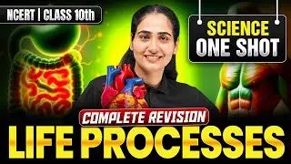 Life Processes | Class 10 Science Chapter 5 | One Shot by Anju Mam | English Medium | HBSE | NCERT