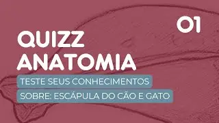Quiz Anatomia Veterinária - Escápula - Cão e Gato | Aparelho Locomotor