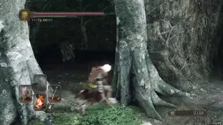 ds2