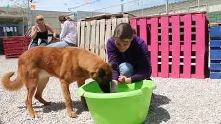 Sisuca 01.05.2018
