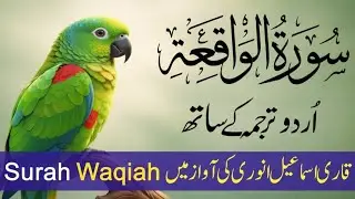 Surah Waqiah With Urdu Hindi Tarjuma | Qari Ismail Al Nori | Beautiful Recitation Ep 5