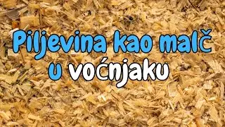Piljevina kao malč u voćnjaku