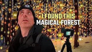 Photographing a Magical Forest in Winter | Oslo