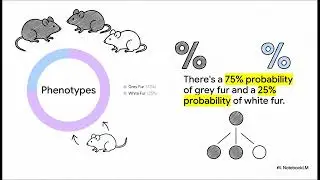 Genetic Inheritance and Variation- GCSE Science Separate Biology Pearson Edexcel -