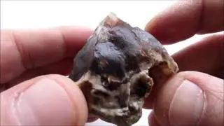Petrified Wood Agate Rough 110 Gr/ 