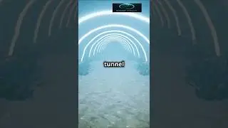Pyrosomes: The Glowing Colonies of the Deep Ocean 🌊✨