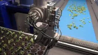 Robotic Sticking Machine at Four Star