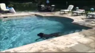Brigitte Swimming