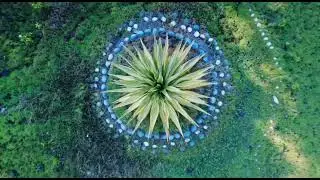 Dr. YSR HORTICULTURAL UNIVERSITY | COLLEGE OF HORTICULTURE, ANANTHARAJUPETA.