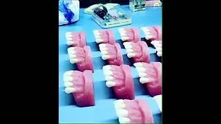 Dental models making for course)