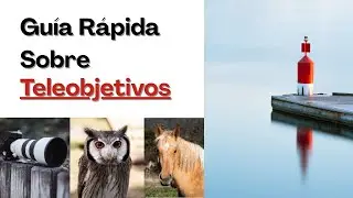 Fotografía con Teleobjetivo: Técnicas, Trucos y Errores a Evitar | Aprende Fotografía