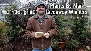 Cold Weather - Plants by Mail Winners - Garden Q and A