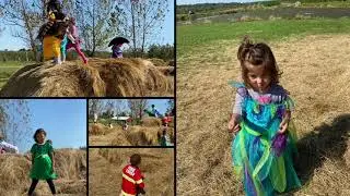 Field Trip to Pumpkin Patch
