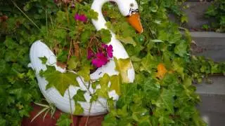 Ashok's Garden