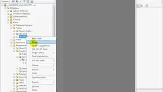 17-How to create and test an User Defined Function (Microsoft SQL Server)
