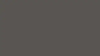 Color Tundora, HEX #585452, RGB88,84,82