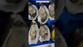 Fresh Oysters@TPM0606